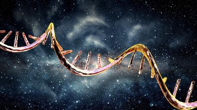 Season 10, Episode 36 Your DNA's Codes Are (Probably) From Outer Space