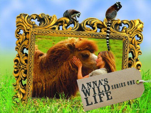 Anna's Wild Life Poster
