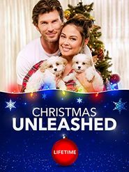  A Doggone Christmas Poster