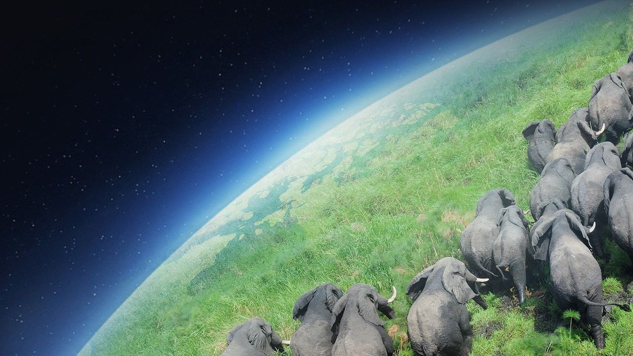 Planet Earth II Backdrop