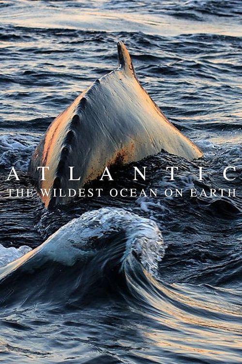 Atlantic: The Wildest Ocean on Earth Poster