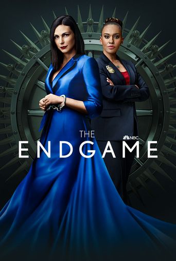  The Endgame Poster