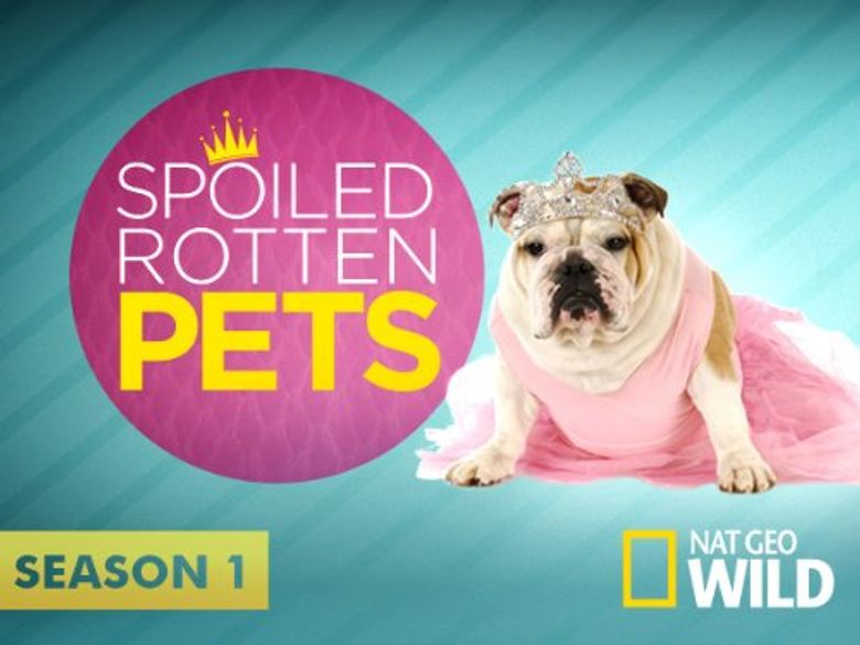 Spoiled Rotten Pets