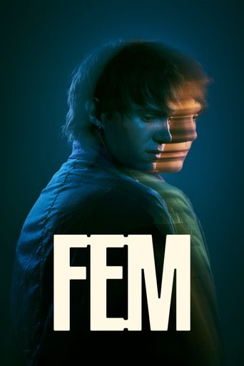 WHAT IS A FEM FEM visual data 8