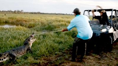 Outback Wrangler Season 3: Where To Watch Every Episode | Reelgood