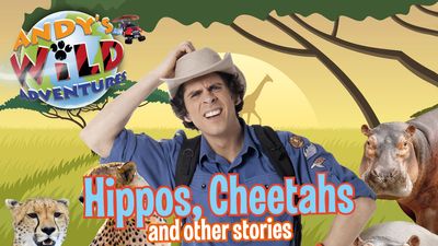 Season 02, Episode 18 Hippos