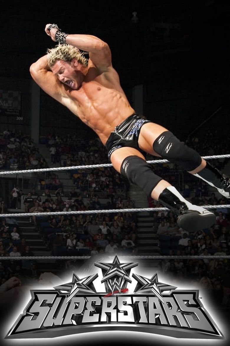 WWE Superstars Poster