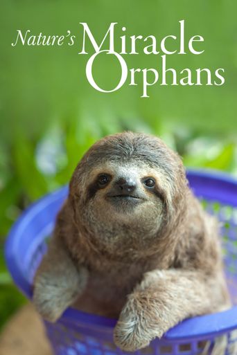  Nature's Miracle Orphans Poster