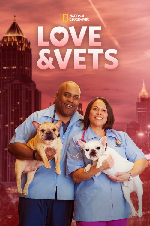 Love & Vets Poster