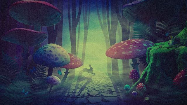 Wonderland Backdrop