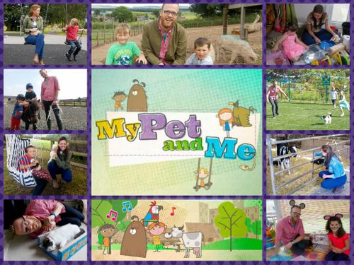 Play the My Pet and Me game on CBeebies. - CBeebies - BBC