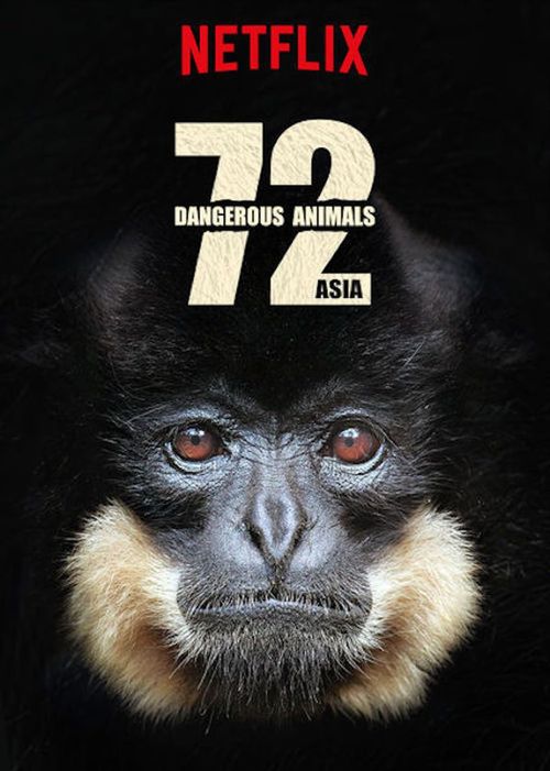 72 Dangerous Animals - Asia Poster