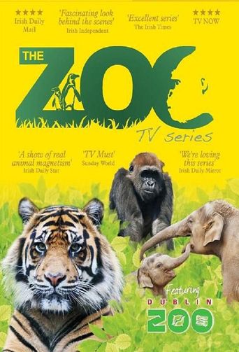  The Zoo (Ireland) Poster