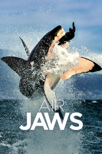  Air Jaws: Back from the Dead Poster