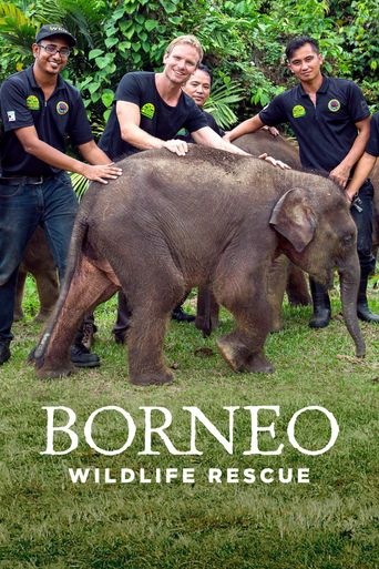  Borneo Wildlife Rescue Poster