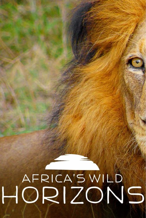 Africa's Wild Horizons Season 1 Poster