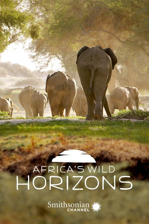 Africa's Wild Horizons Poster