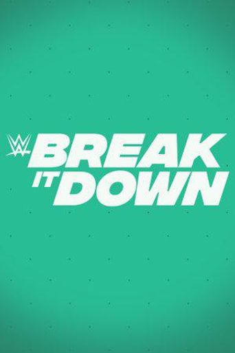  WWE Break It Down Poster