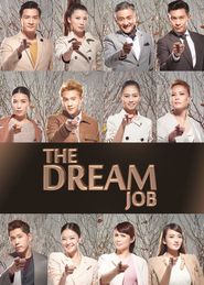  The Dream Job Poster