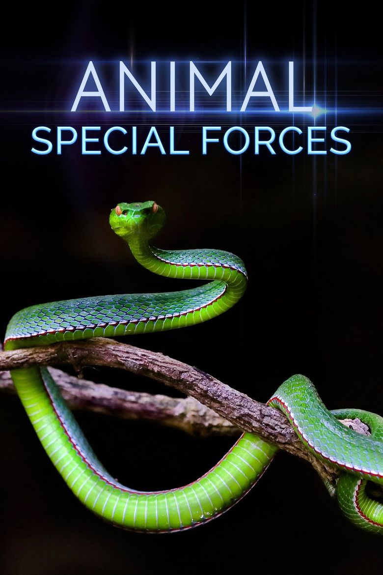 Animal Special Forces