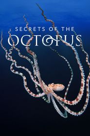 Upcoming Secrets of the Octopus Poster