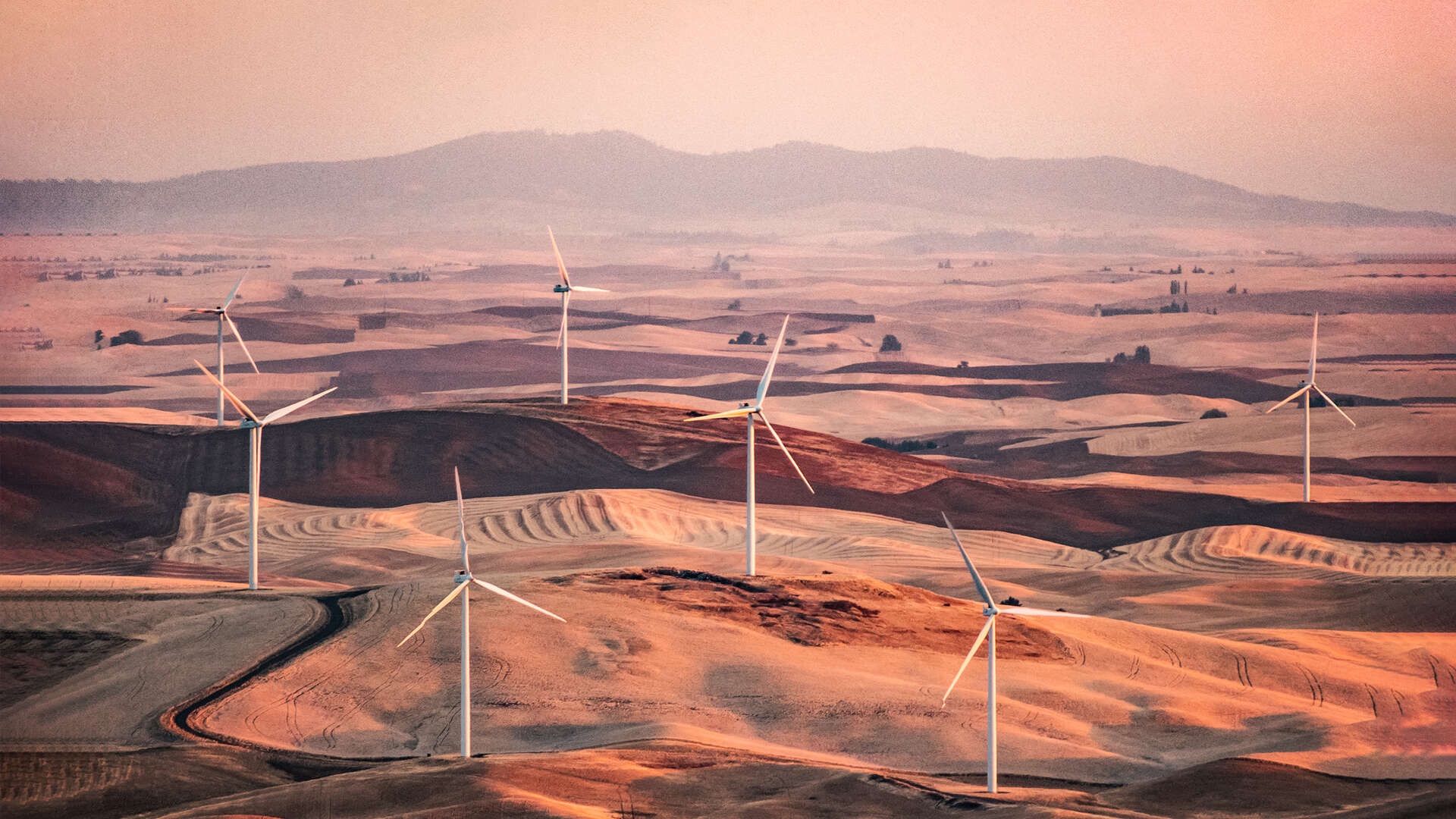 Age of Humans Backdrop