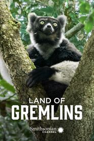  Land of Gremlins Poster