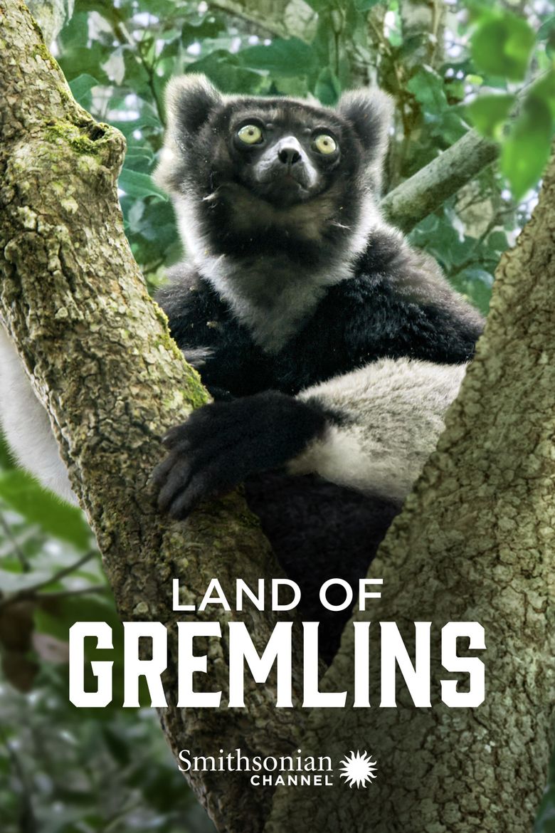 Land of Gremlins Poster