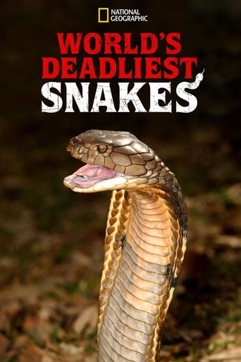  World's Deadliest Snakes Poster