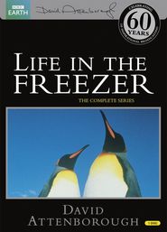  Life in the Freezer Poster