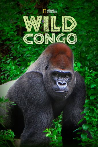  Wild Congo Poster