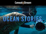  Ocean Stories Poster