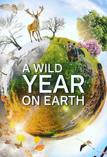  A Wild Year on Earth Poster