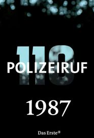 Police Call 110 Season 17 Poster