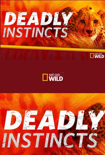 Deadly Instincts Poster