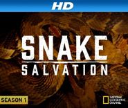 Snake Salvation Poster