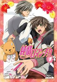 Junjou Romantica Season 1 Poster