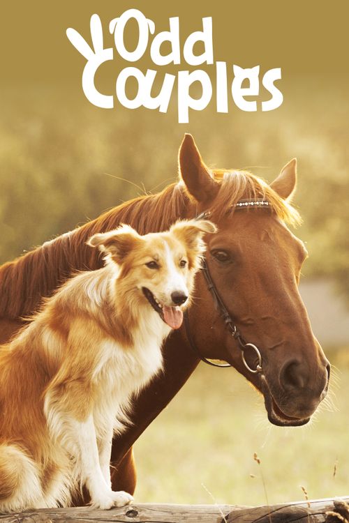 Animal Odd Couples Poster