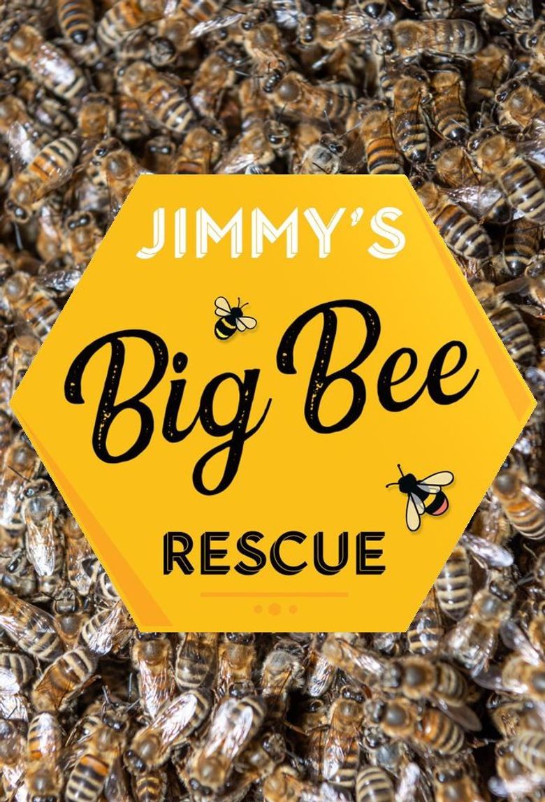 Jimmy's Big Bee Rescue Jimmy's Big Bee Rescue