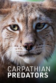  Carpathian Predators Poster