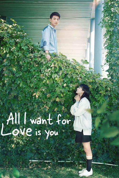 All I Want for Love Is You Poster