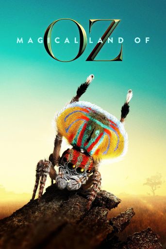  Magical Land of Oz Poster