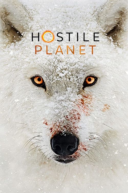 Hostile Planet Poster