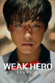  Weak Hero Class 1 Poster