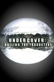  Undercover: Nailing the Fraudsters Poster