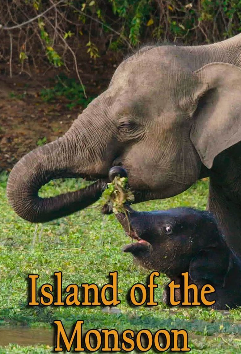 Island of the Monsoon