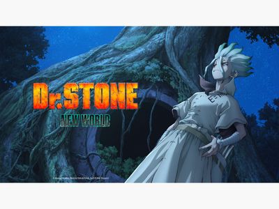 Dr. Stone Season 1 Streaming: Watch & Stream Online via