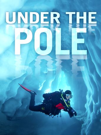  Under the Pole Poster