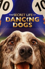  The Secret Life of Dancing Dogs Poster