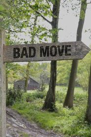  Bad Move Poster